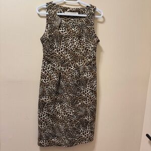 Zara Knit Leopard Print Sleeveless Dress
